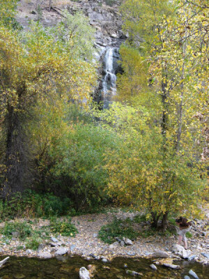 Scenery at the 2008 Retreat Scenery at the 2008 Retreat