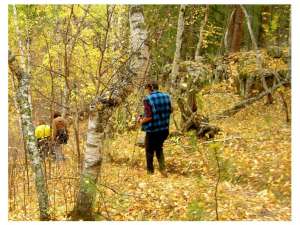 SNA Hikers on Rushmore Trail